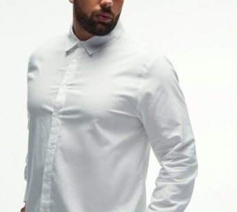 Plus Regular Fit Oxford Shirt In White